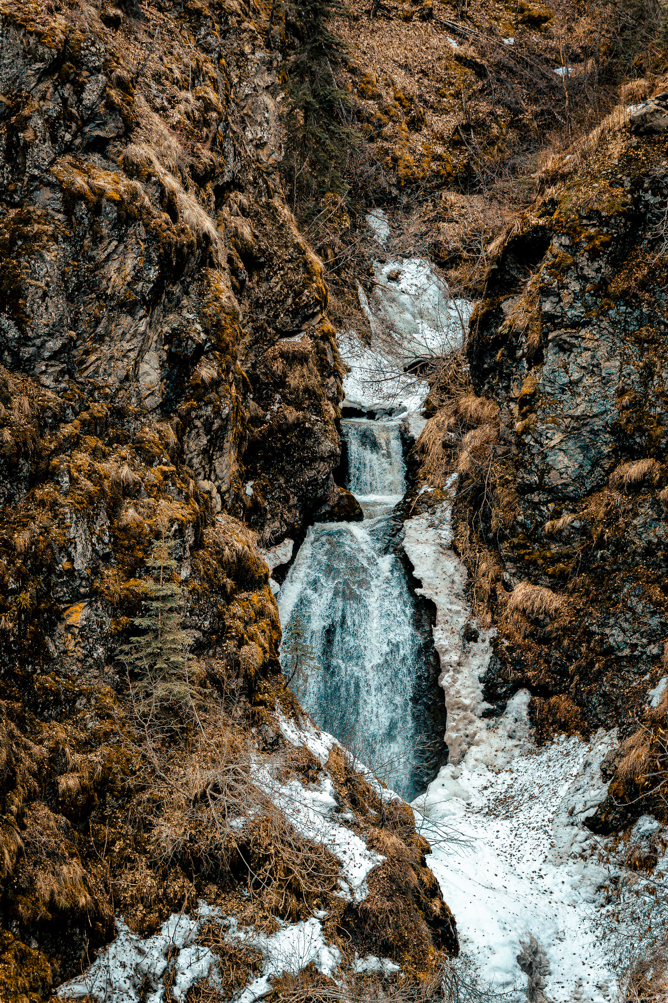 Nature